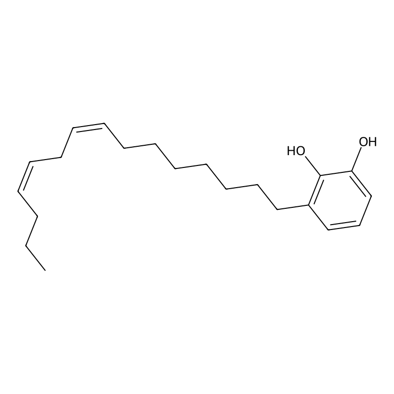 3-[(8Z,11Z)-Pentadeca-8,11-dien-1-YL]benzene-1,2-diol