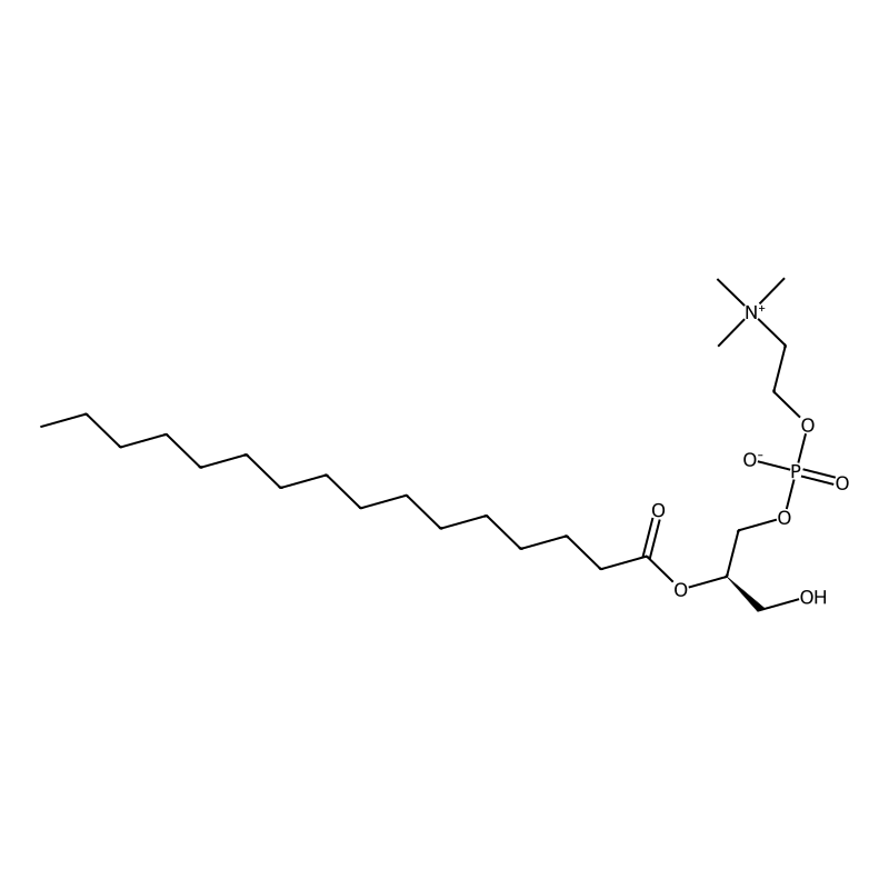 2-Palmitoyl-sn-glycero-3-phosphocholine