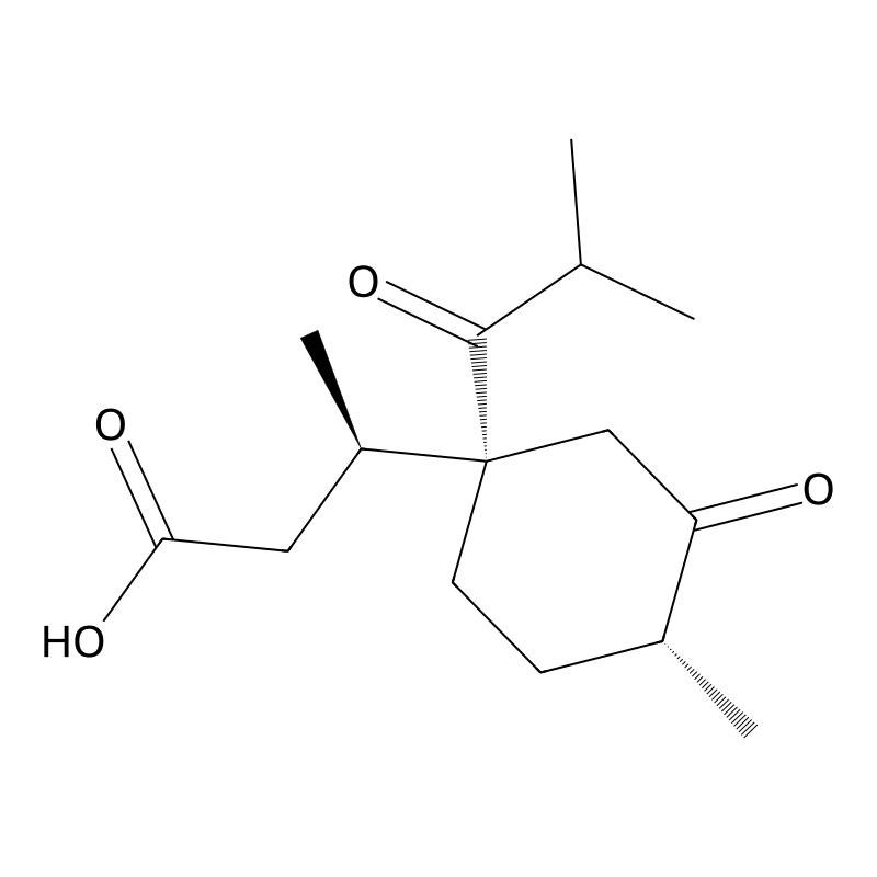 Unii-65wvb6DB6D