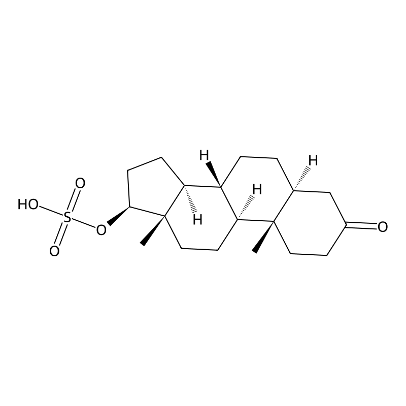 5a-Dihydrotestosterone sulfate