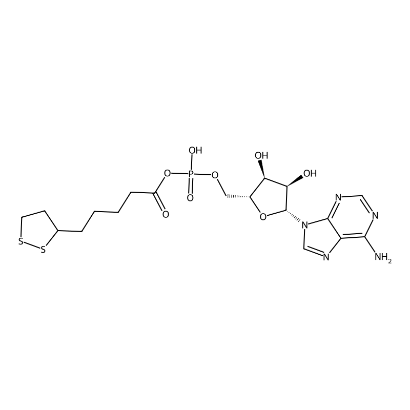 lipoyl-AMP