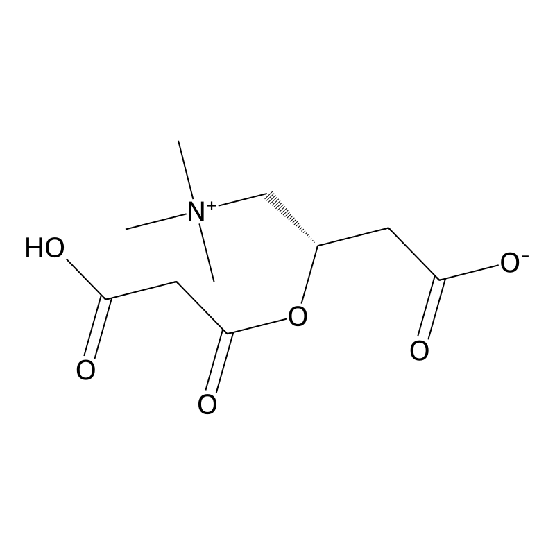 O-malonylcarnitine