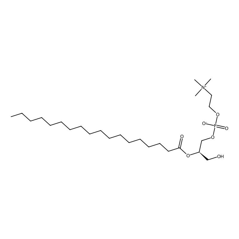 2-Octadecanoyl-sn-glycero-3-phosphocholine