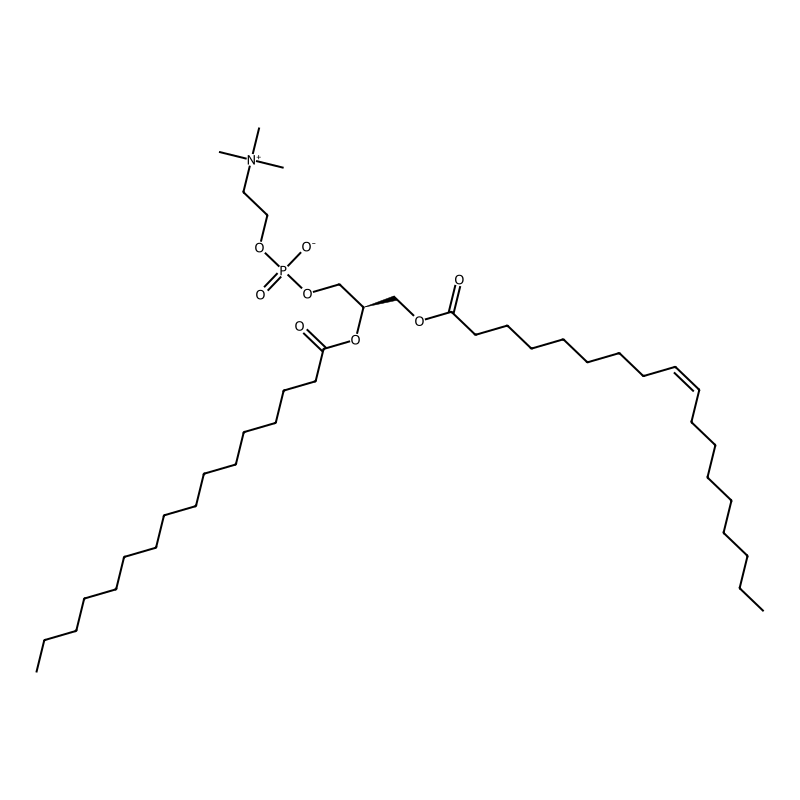 1-Oleoyl-2-palmitoyl-sn-glycero-3-phosphocholine