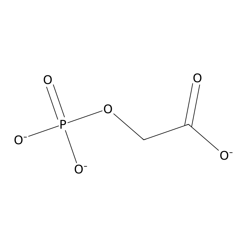 2-Phosphoglycolate