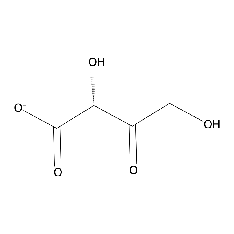 3-Dehydro-L-threonate