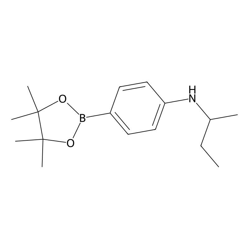 4-sec-Butylamino-benzene boronic acid pinacol este...