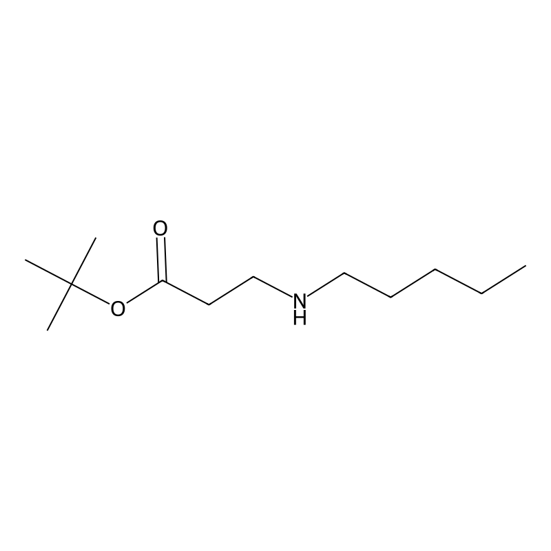 tert-Butyl 3-(pentylamino)propanoate