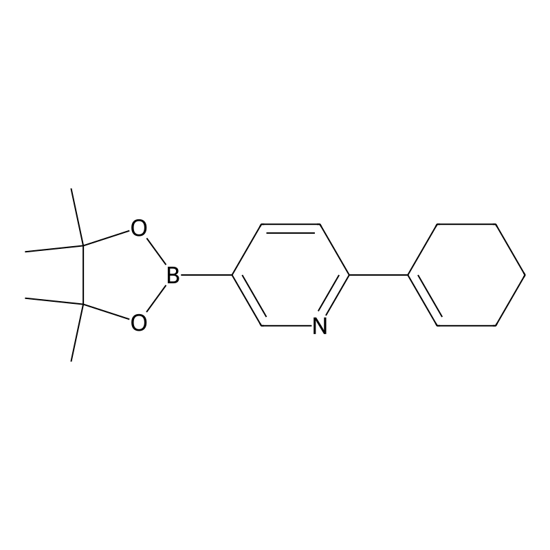 6-(Cyclohex-1-en-1-yl)pyridine-3-boronic acid pina...