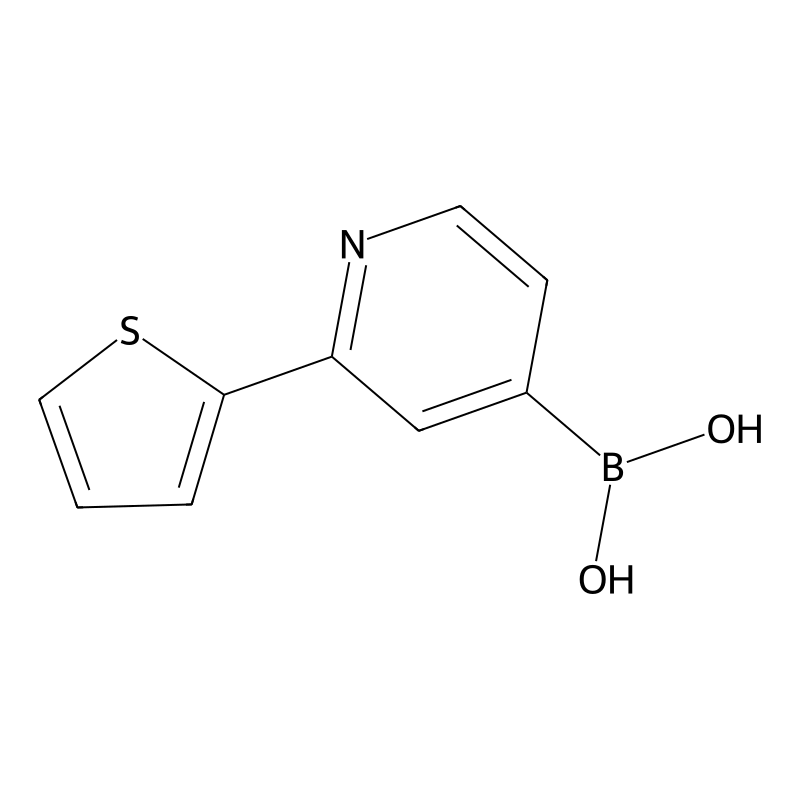 2-(Thiophen-2-yl)pyridine-4-boronic acid