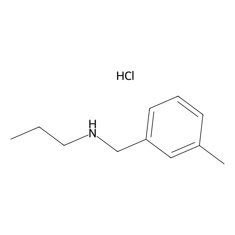 [(3-Methylphenyl)methyl](propyl)amine hydrochlorid...