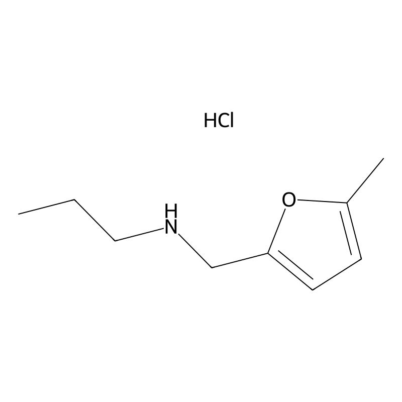 [(5-Methylfuran-2-yl)methyl](propyl)amine hydrochl...