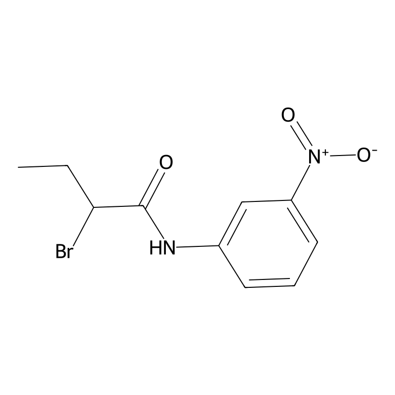 2-Bromo-N-(3-nitrophenyl)butanamide