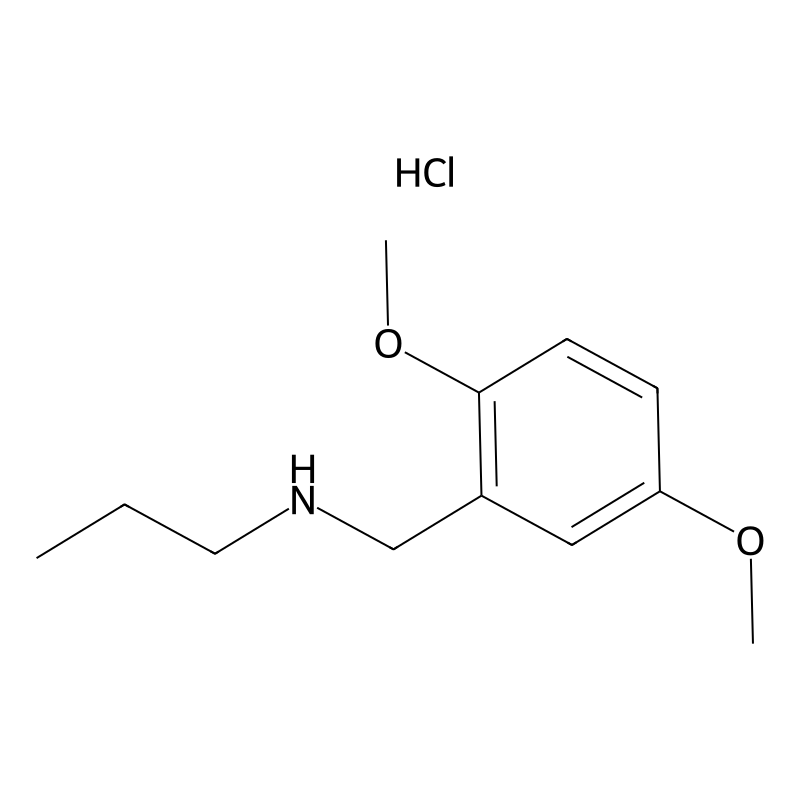 [(2,5-Dimethoxyphenyl)methyl](propyl)amine hydroch...