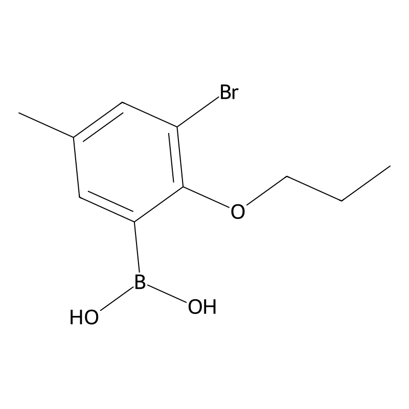 Buy 3 Bromo 5 Methyl 2 Propoxyphenylboronic Acid 870718 02 8