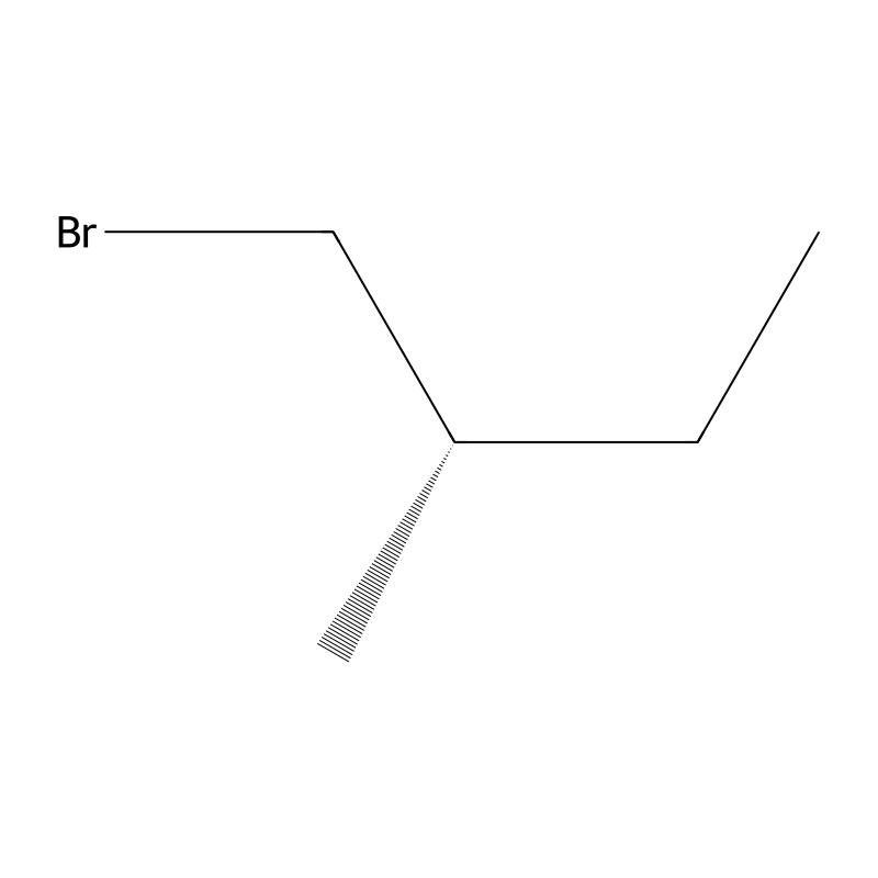 (S)-1-Bromo-2-methylbutane