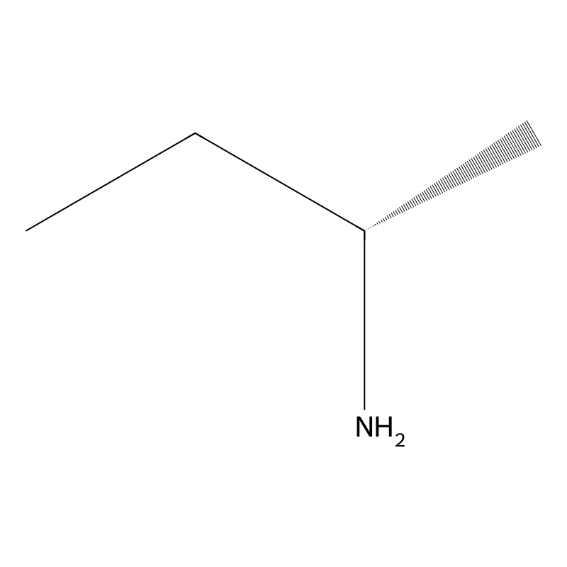 (S)-(+)-2-Aminobutane