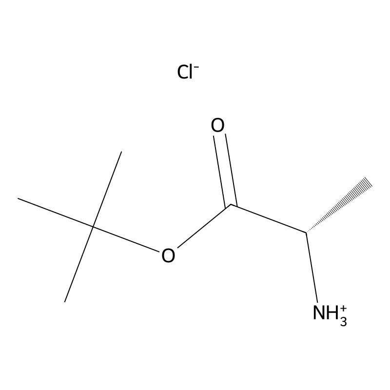 H-Ala-OtBu.HCl