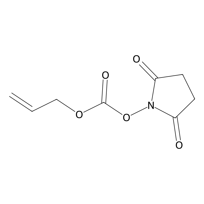 N-(Allyloxycarbonyloxy)succinimide