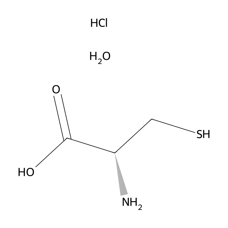 L-Cysteine hydrochloride monohydrate