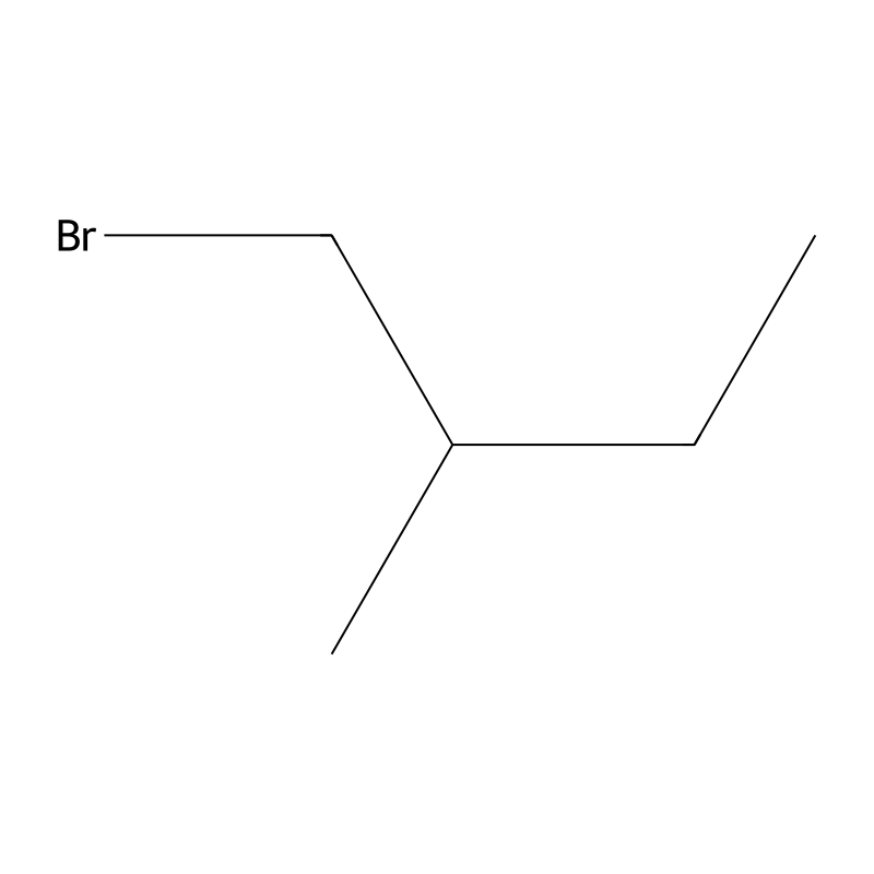 1-Bromo-2-methylbutane