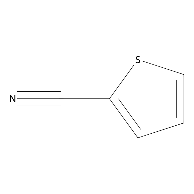 Thiophene-2-carbonitrile