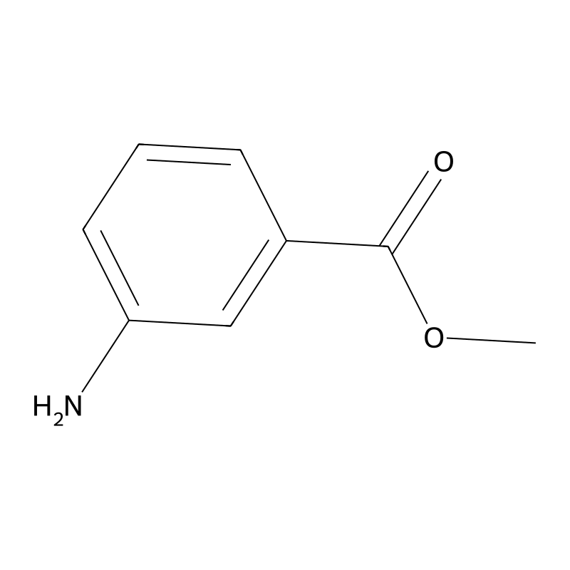 Methyl 3-aminobenzoate