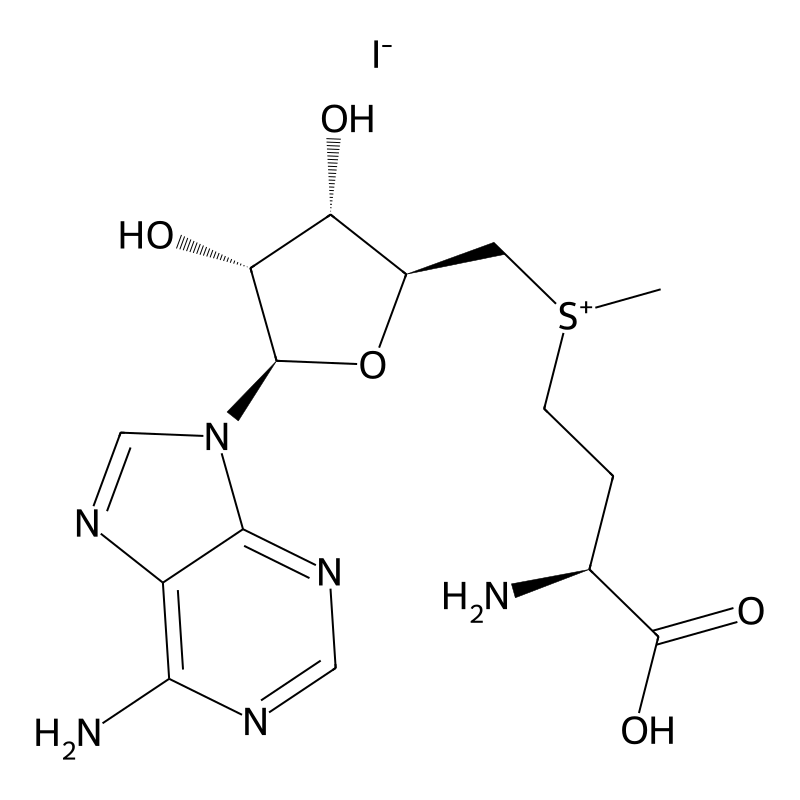 5'-[[(3S)-3-Amino-3-carboxypropyl]methylsulfonio]-5'-deoxy-Adenosine iodide