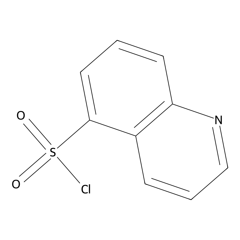 Quinoline-5-sulfonyl chloride