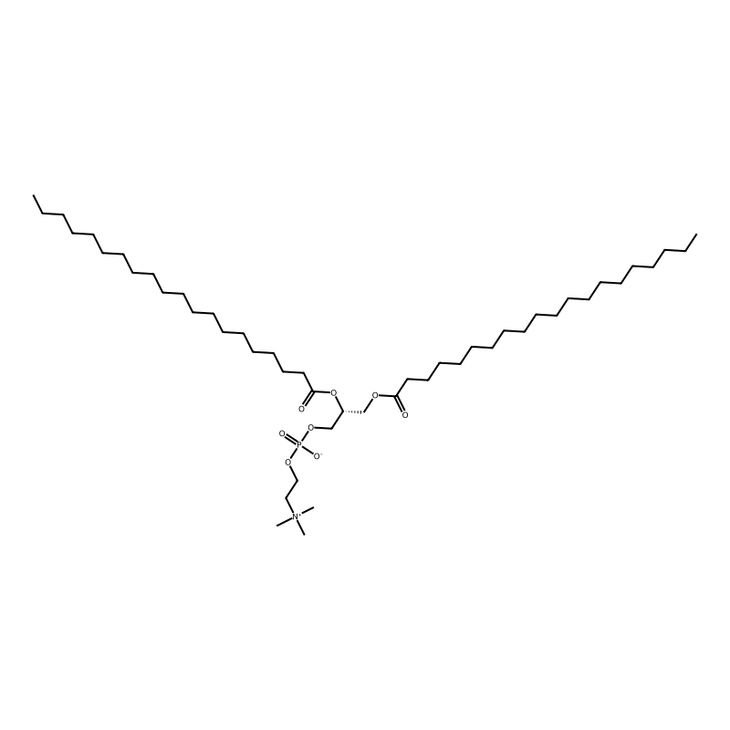 1,2-Diarachidoyl-sn-glycero-3-phosphocholine