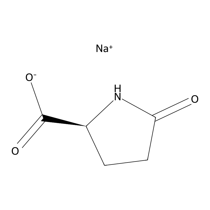 Sodium L-pyroglutamate