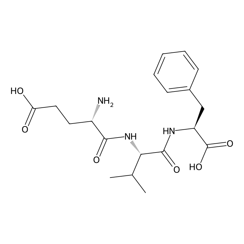 Glutamyl-valyl-phenylalanine