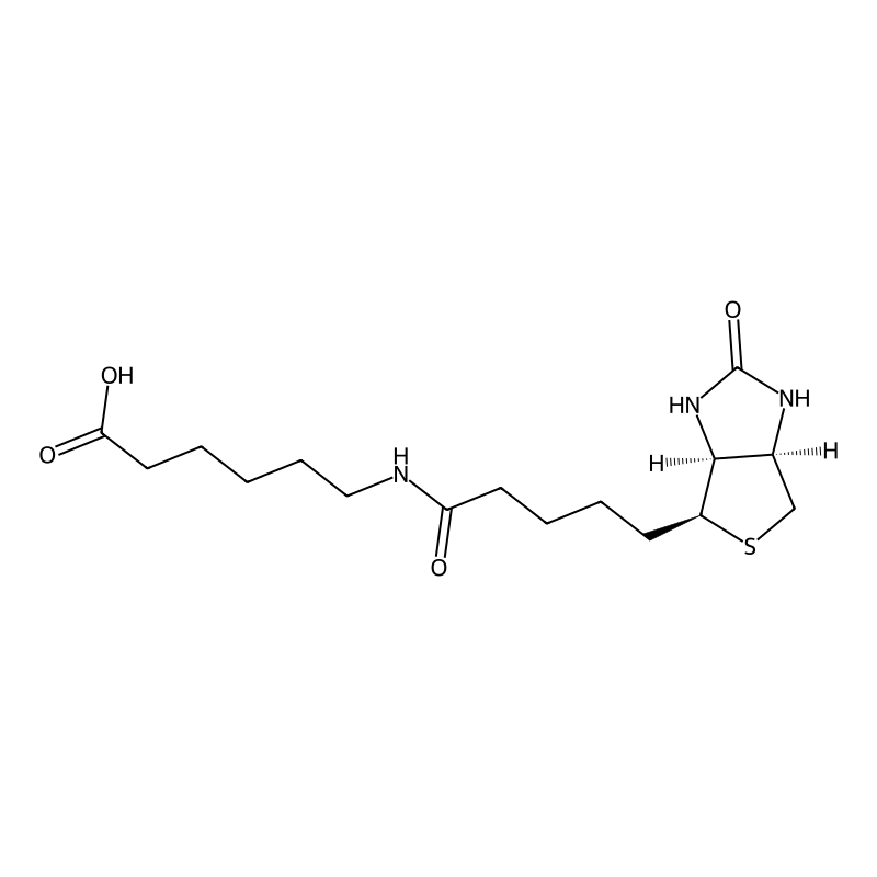 6-[5-(2-Oxo-hexahydro-thieno[3,4-D]imidazol-4-YL)-...