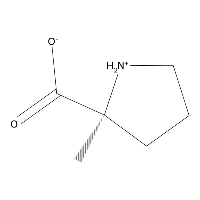 (S)-2-methylpyrrolidine-2-carboxylic acid