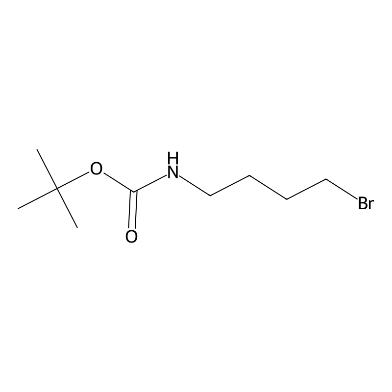 4-(Boc-amino)butyl bromide