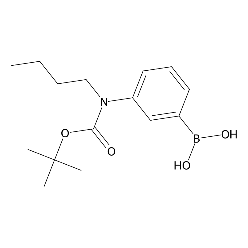 3-(N-Boc-N-butylamino)phenylboronic acid