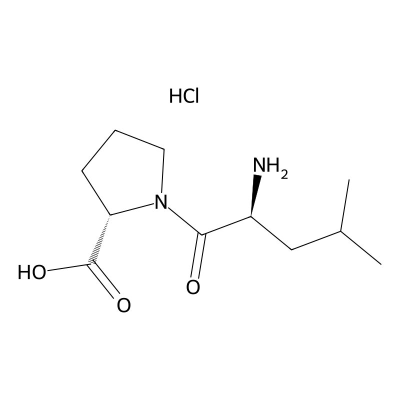 (S)-1-((S)-2-Amino-4-methylpentanoyl)pyrrolidine-2-carboxylic acid hydrochloride