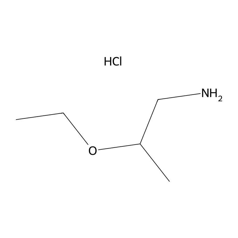 2-Ethoxy-propylamine hydrochloride