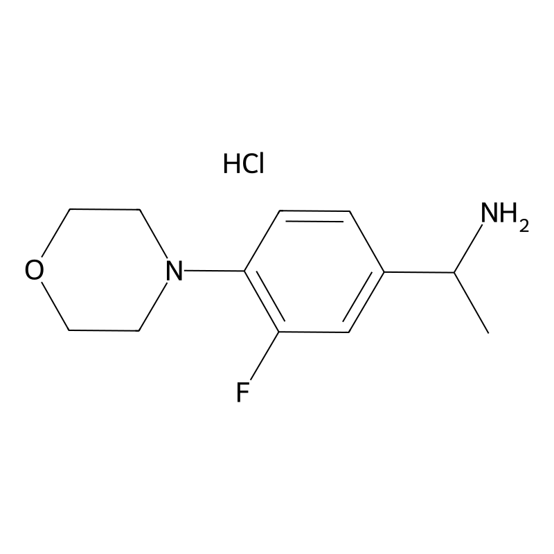 [1-(3-Fluoro-4-morpholin-4-ylphenyl)ethyl]amine hy...