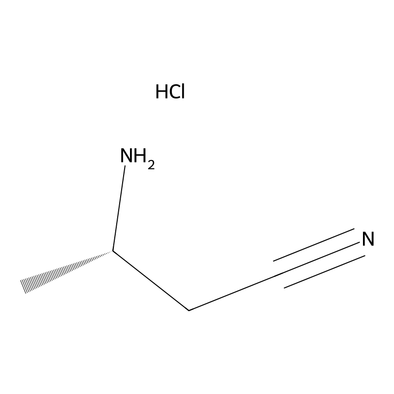 (S)-3-Aminobutanenitrile hydrochloride