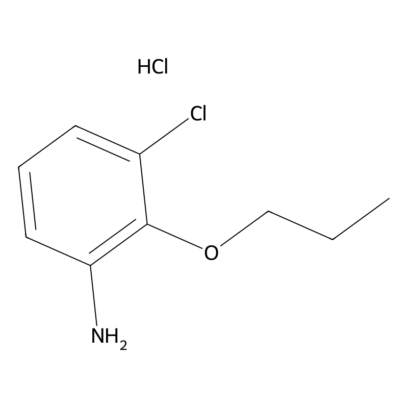 (3-chloro-2-propoxyphenyl)amine hydrochloride