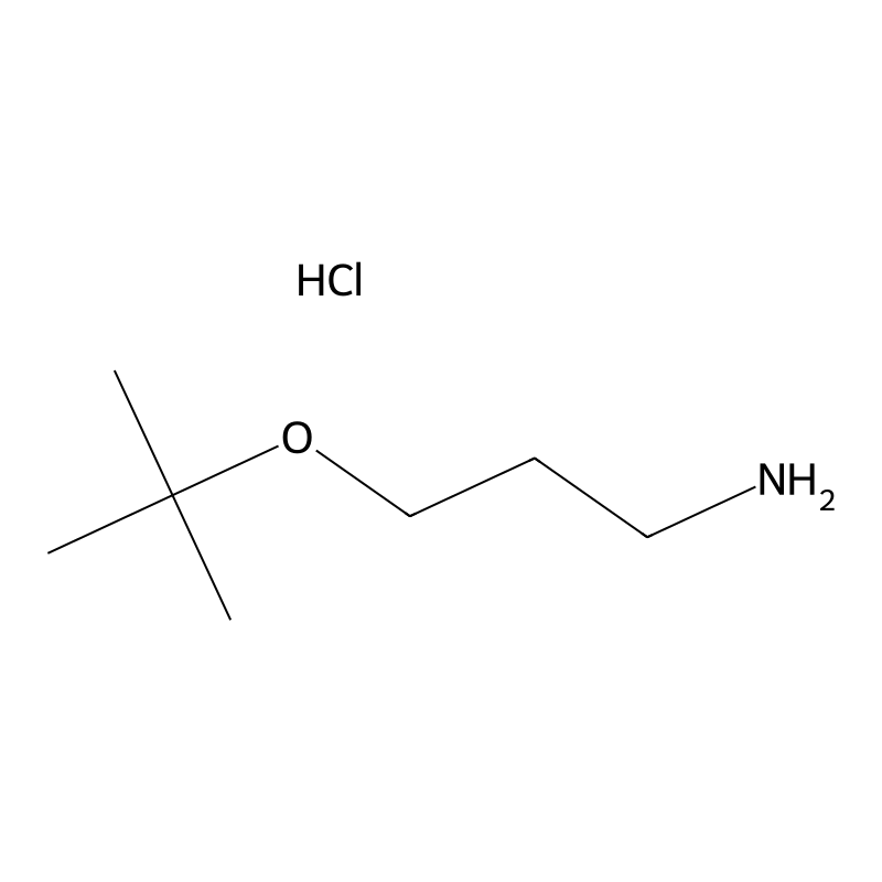 3-(tert-Butoxy)propylamine hydrochloride