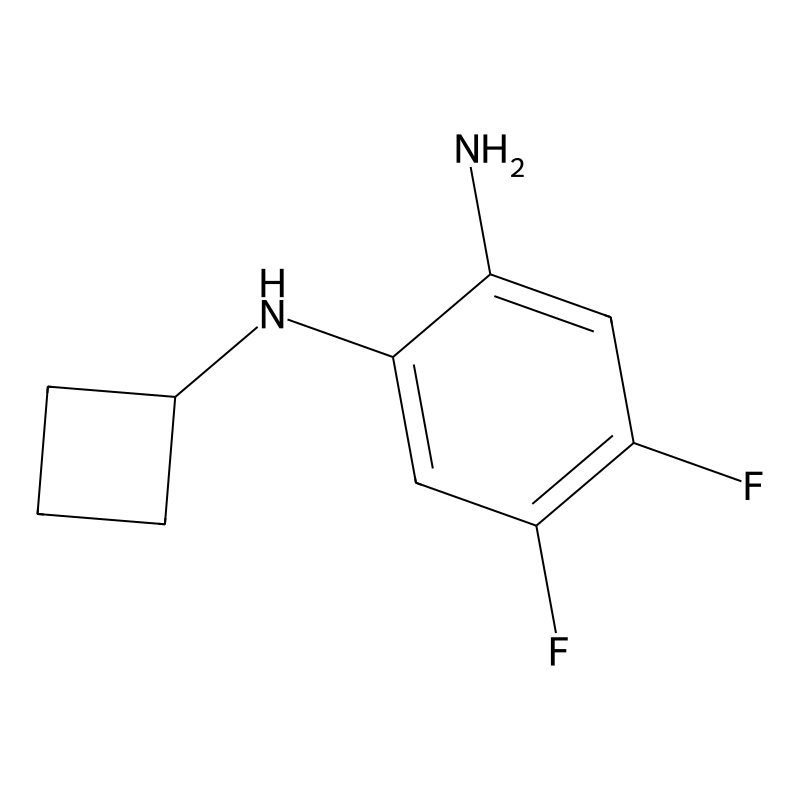 N1-Cyclobutyl-4,5-difluorobenzene-1,2-diamine