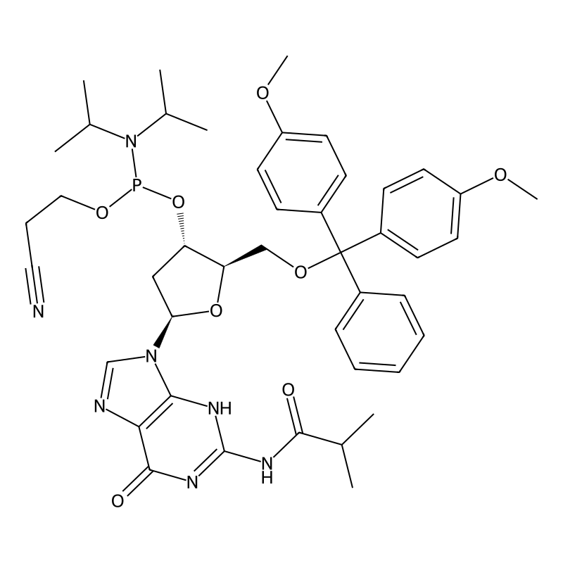 DMT-dG(ib) Phosphoramidite