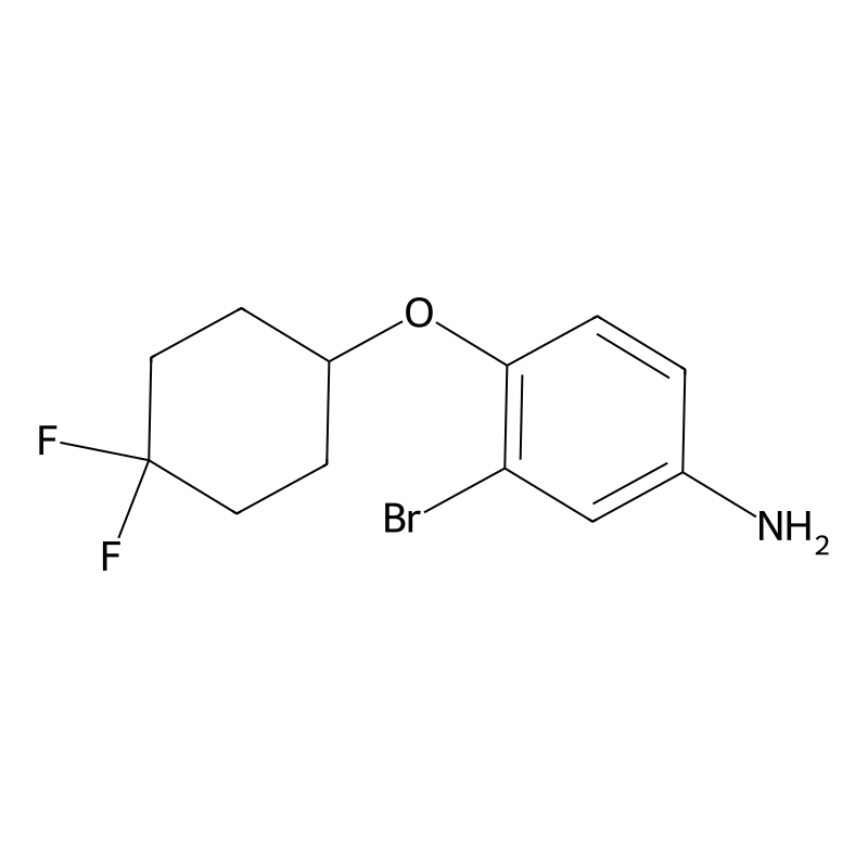 3-Bromo-4-(4,4-difluorocyclohexyloxy)-phenylamine