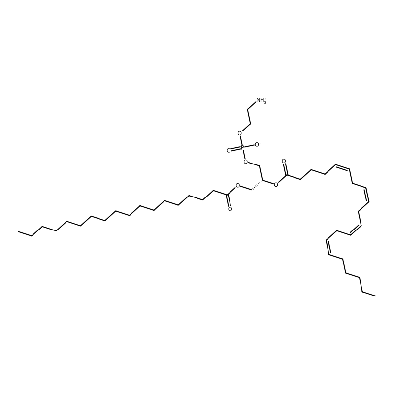 2-azaniumylethyl (2R)-2-[(5Z,8Z,11Z,14Z)-icosa-5,8,11,14-tetraenoyloxy]-3-(octadecanoyloxy)propyl phosphate