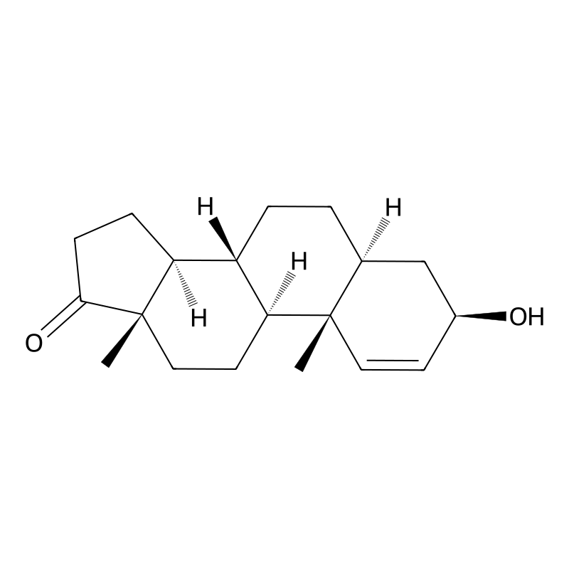 1-Androsterone