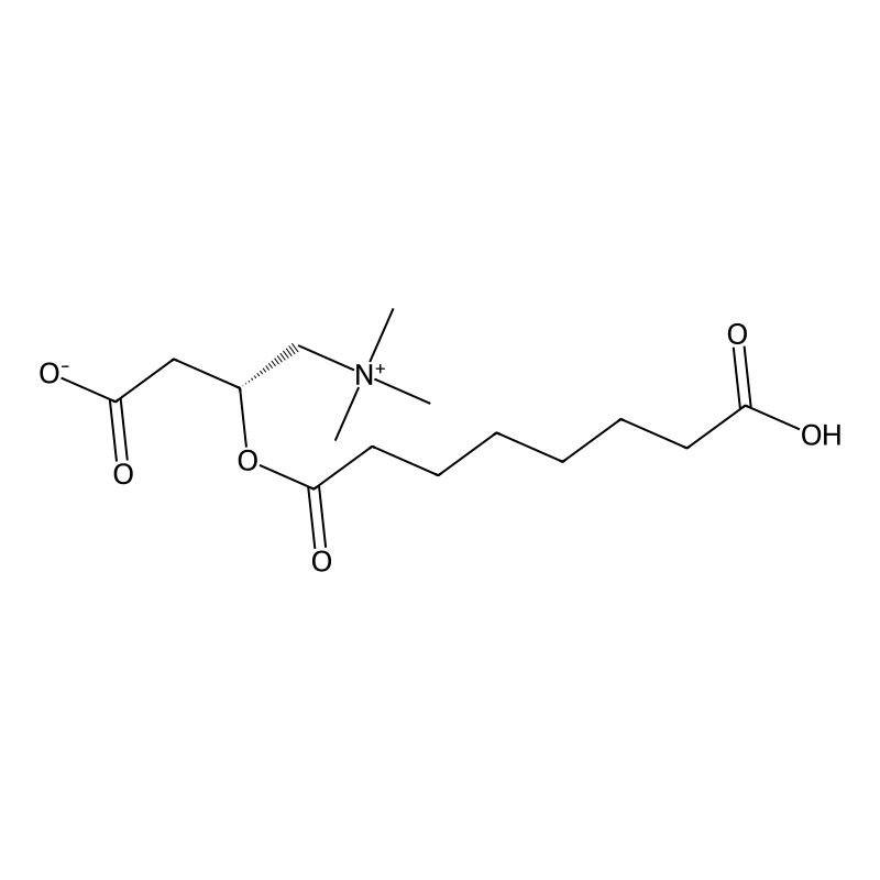 (L)-Suberyl Carnitine