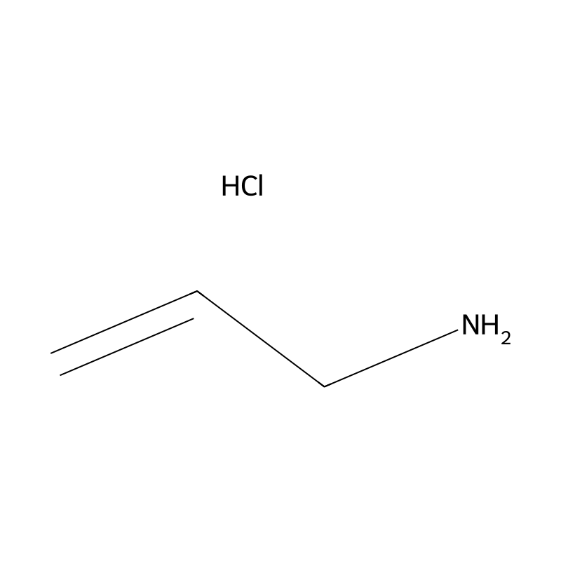 Allylamine hydrochloride