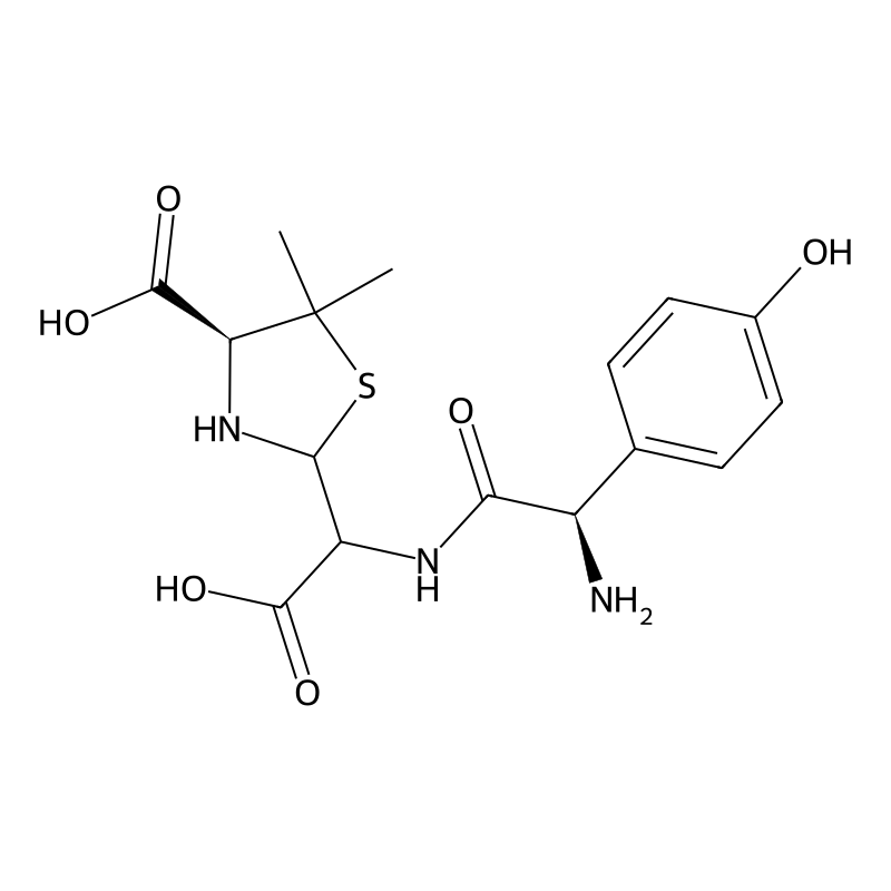 Amoxicillin open ring